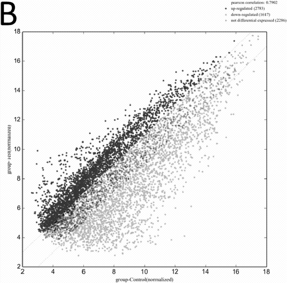 Glaucoma diagnosis molecular marker lncRNAs NR_026887, kit and application