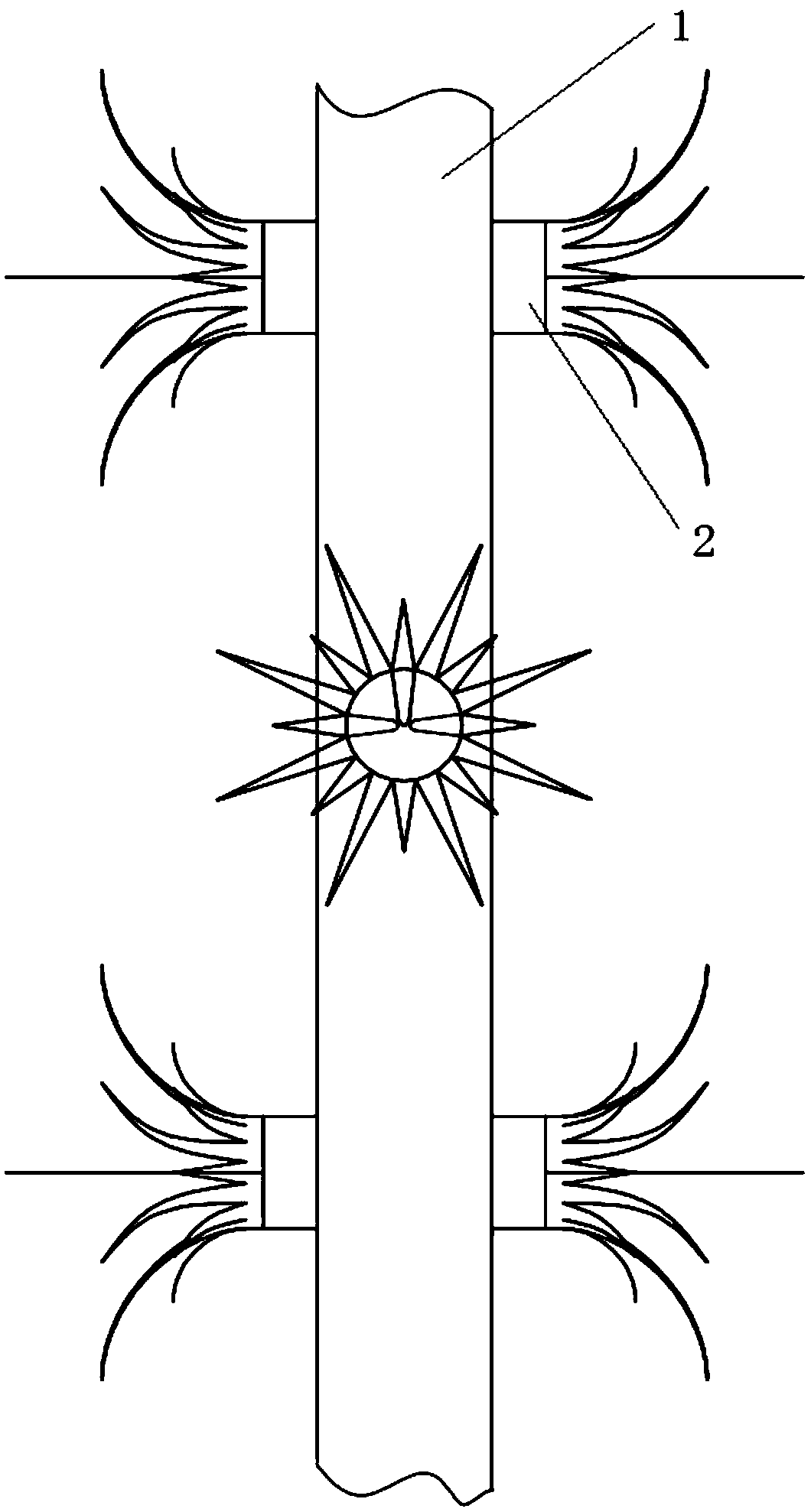 Cathode ray structure based on bionics, discharging system and method