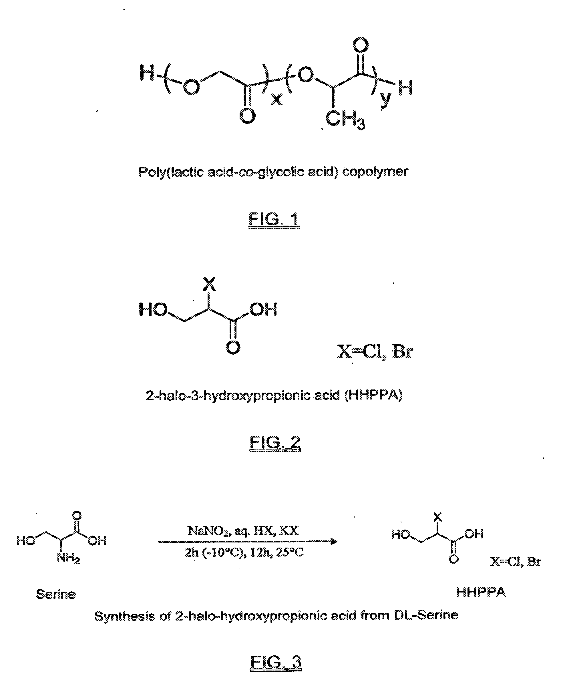 Functional biodegradable polymers