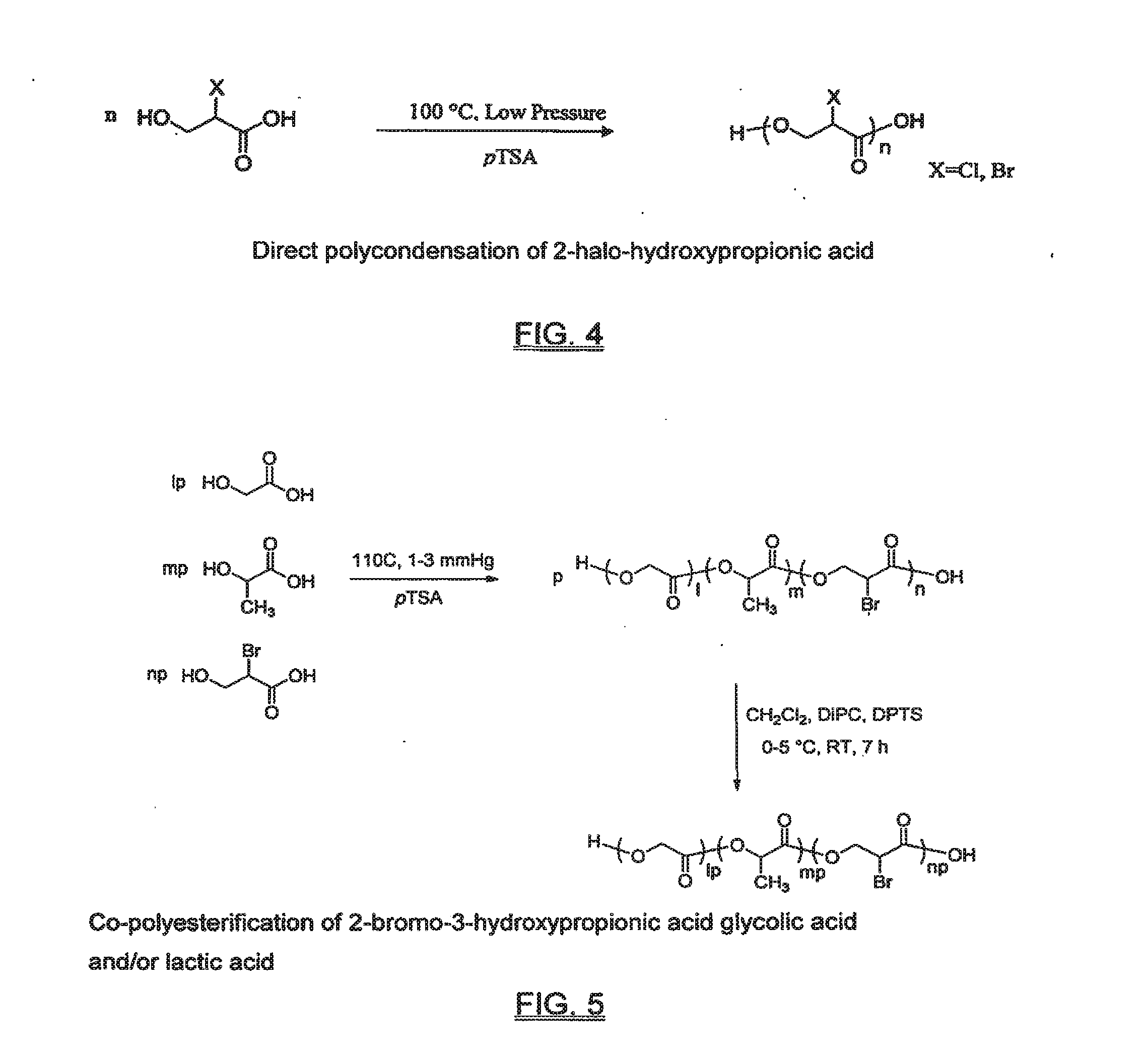 Functional biodegradable polymers