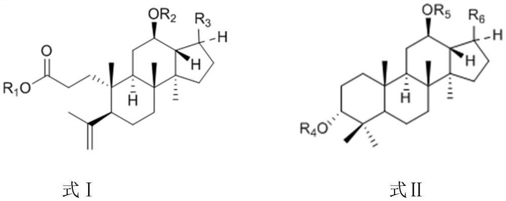 Cyclocarya paliurus extract and application thereof