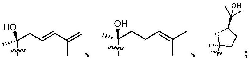 Cyclocarya paliurus extract and application thereof