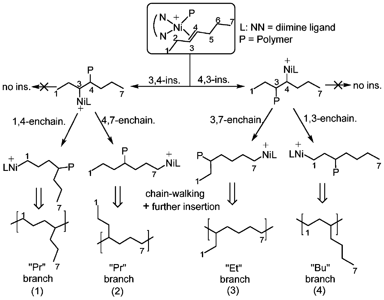 Application of para-position phenyl-containing alpha-nickel diimine (II) complex to catalysis of 3-heptene for chain walking polymerization