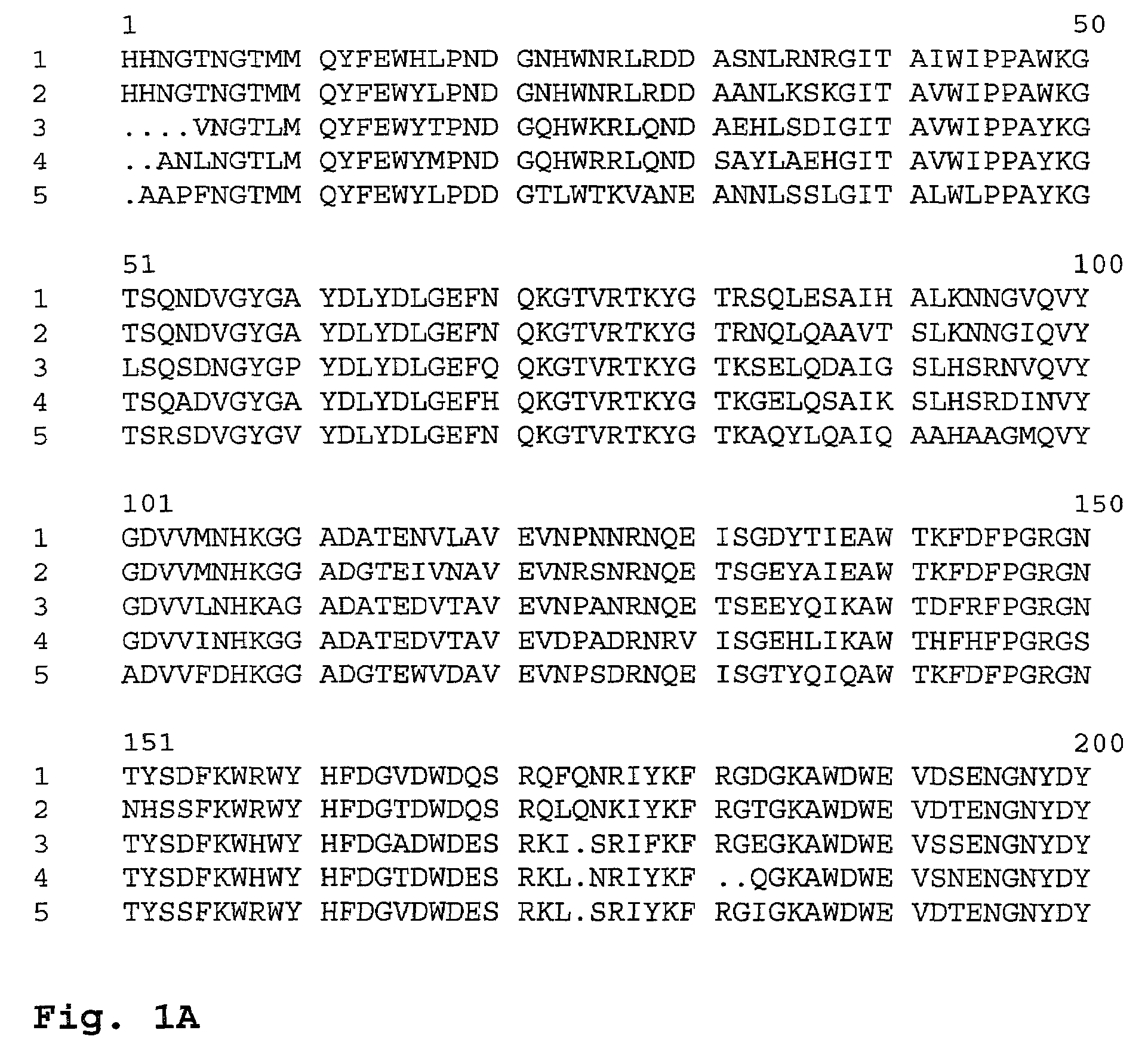 Amylase variants