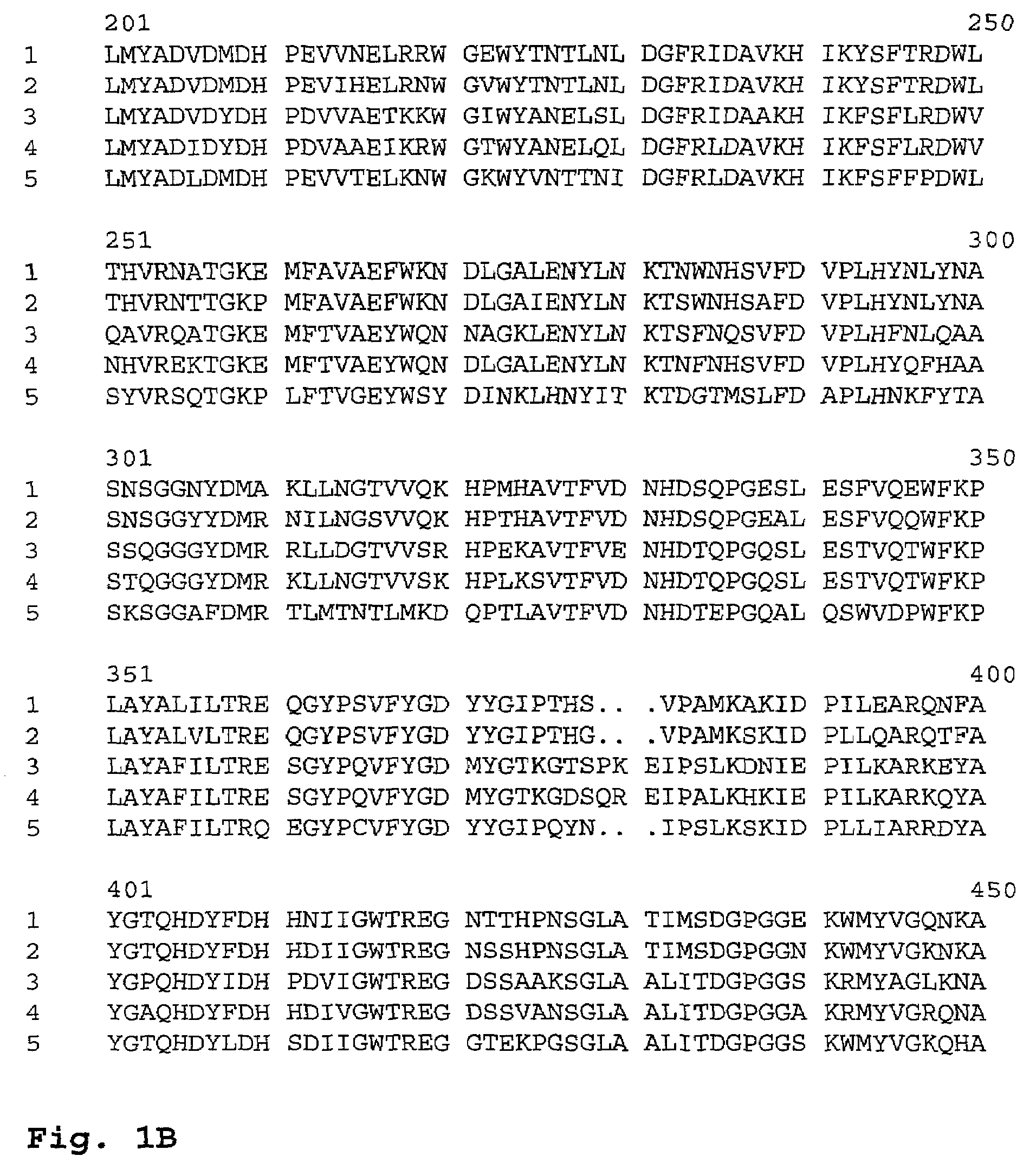 Amylase variants