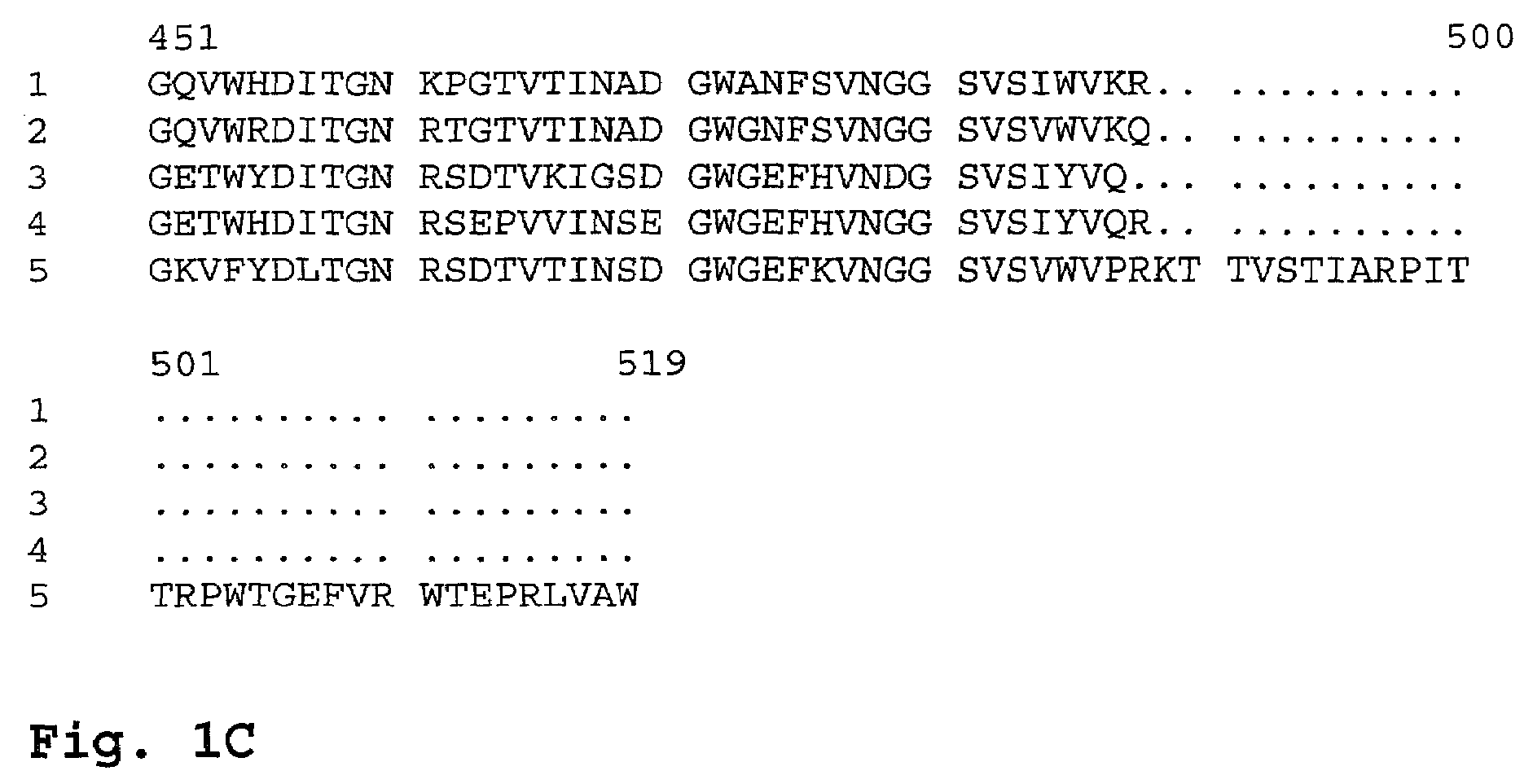 Amylase variants