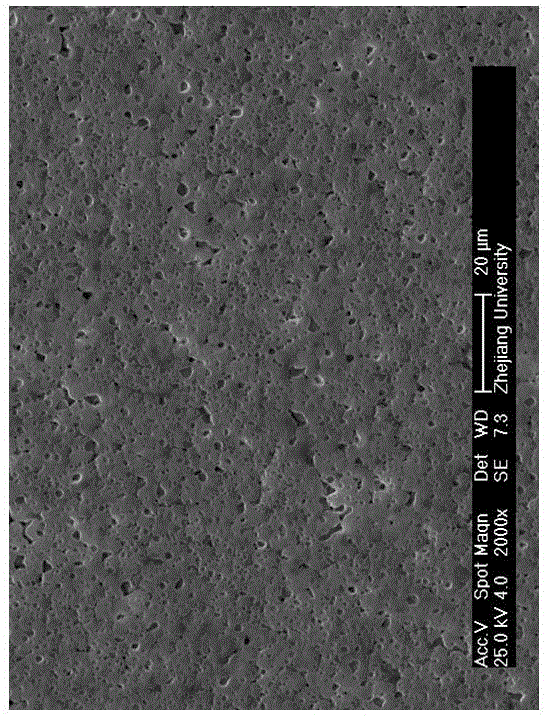 Skeleton and gel matrix-integrated active membrane of lithium-ion battery and preparation method of skeleton and gel matrix-integrated active membrane