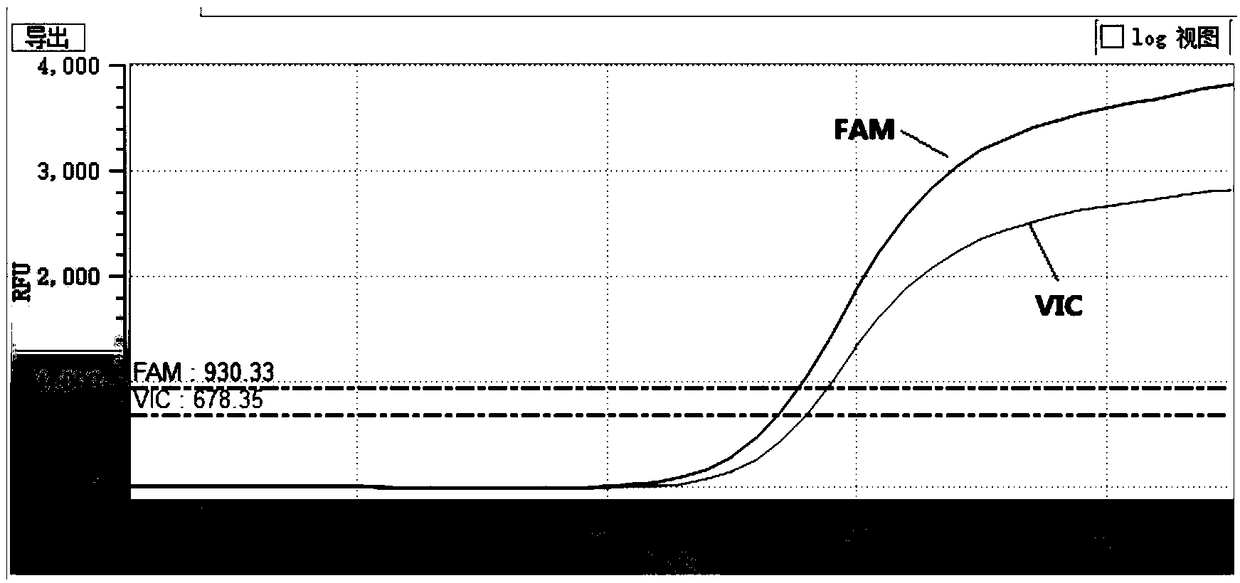 Lysate and kit for carrying out PCR on blood and oral cavity swab