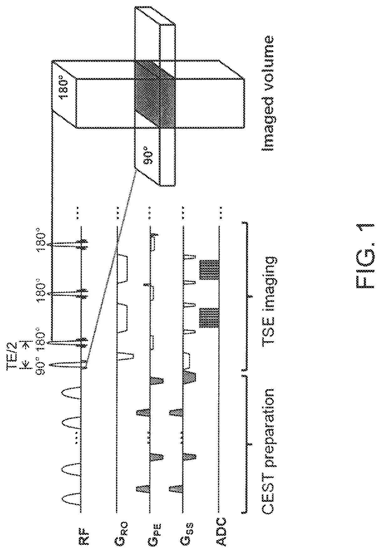 Imaging biomarkers for the diagnosis and prognosis of back pain and related conditions