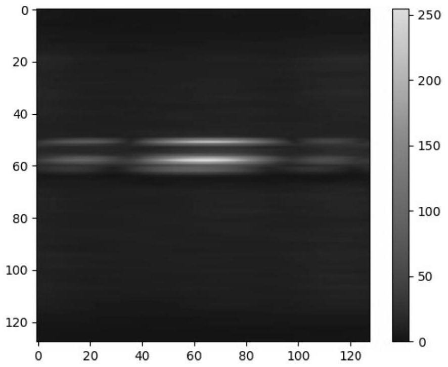 Multi-spectrogram fusion method and device for realizing human body posture estimation based on millimeter wave radar