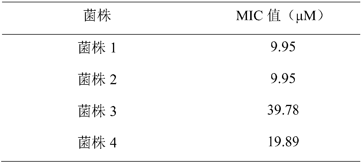 Antibacterial peptide KK26 and application thereof