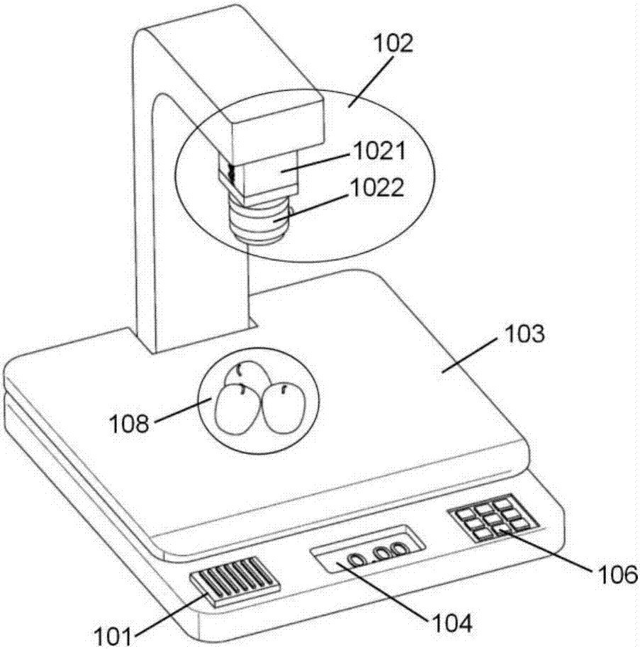 Intelligent nutrition balance system and method for providing diet suggestions