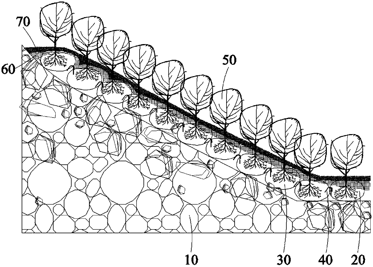 Construction method and construction structure for stacked gangue reforestation project