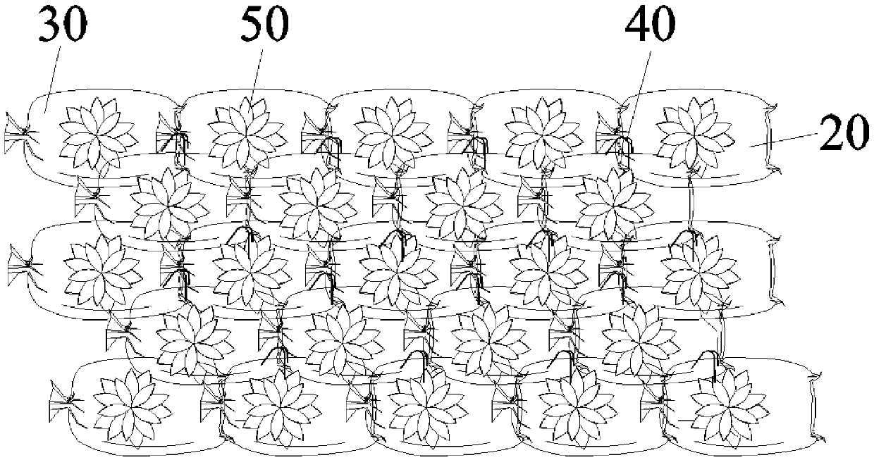 Construction method and construction structure for stacked gangue reforestation project