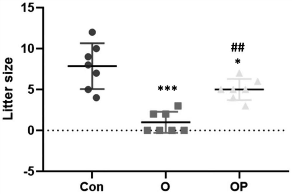 Application of pyrroloquinoline quinone in prevention and/or treatment of female reproductive dysfunction