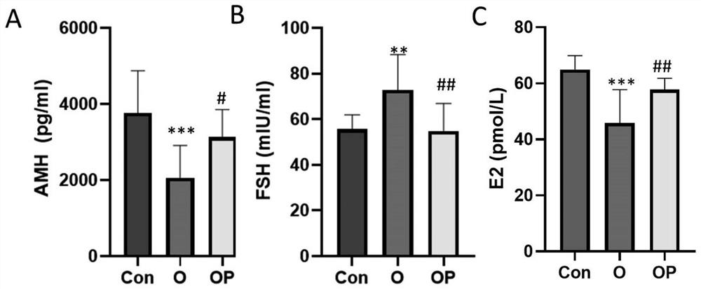 Application of pyrroloquinoline quinone in prevention and/or treatment of female reproductive dysfunction