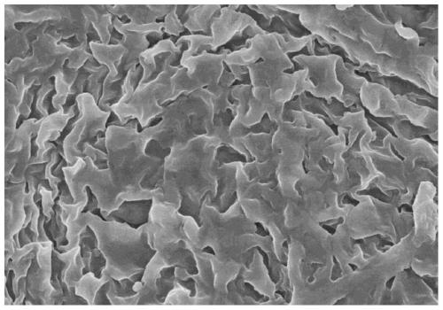 Self-healing photoresponsive supramolecular fluorescent hydrogel and preparation method and application thereof