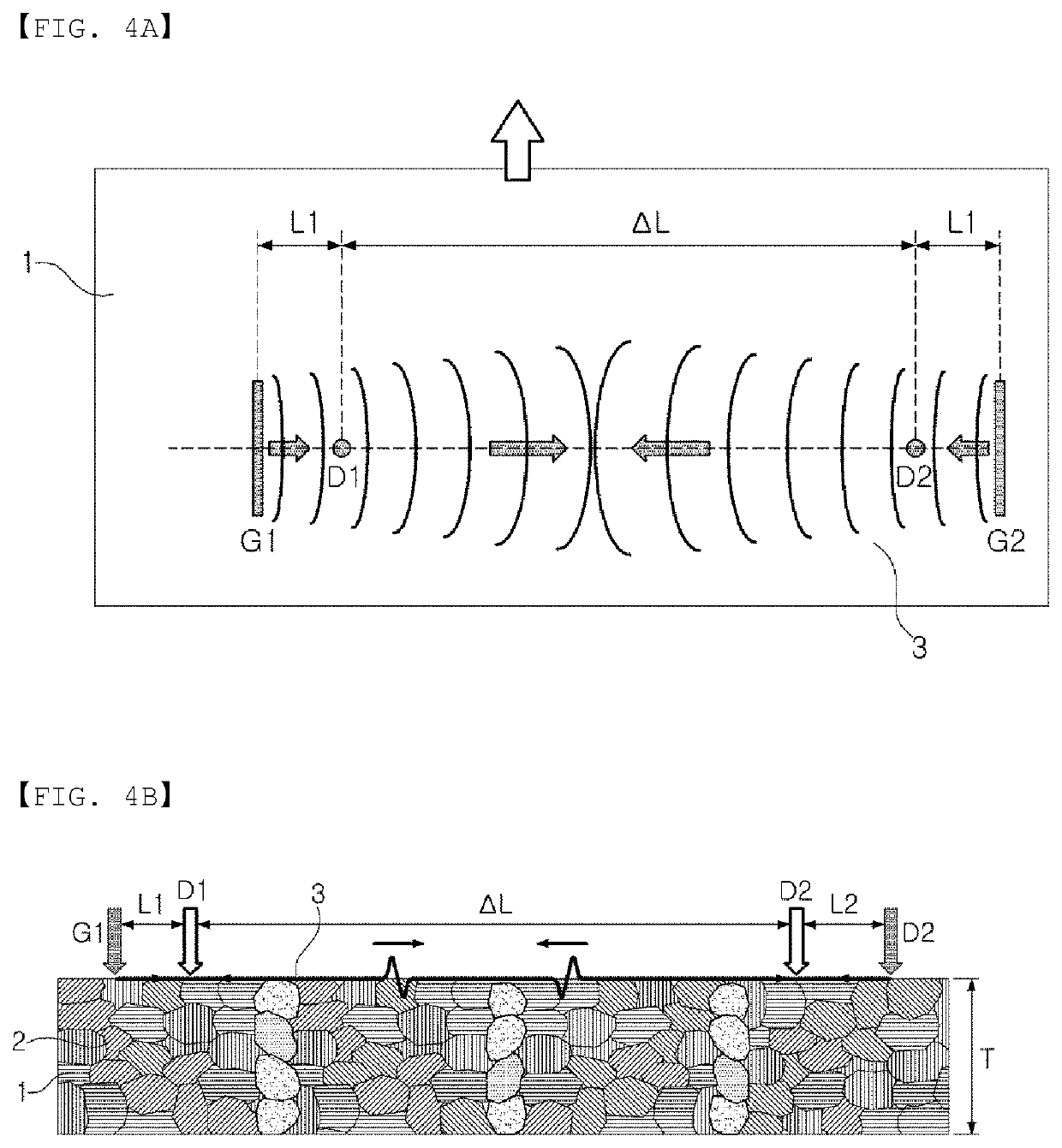 Apparatus for measuring crystal grain size of steel sheet