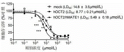 Application of tetrahydropalmatine in preparation of medicine for resisting cisplatin toxicity