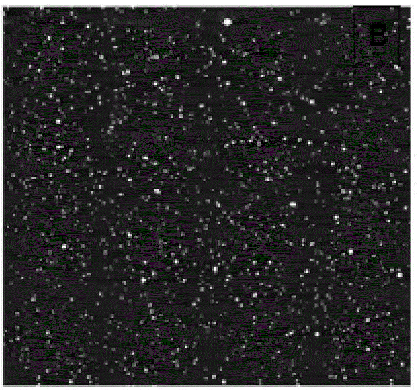 Xanthan gum-silver nanoparticle composite material and preparation method thereof