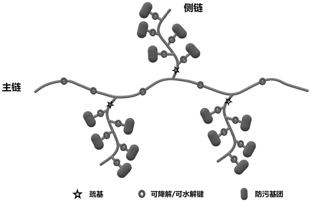 Degradable polymer as well as preparation method and application thereof