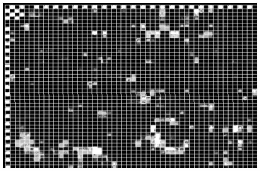 Whole-chromosome genotyping chip for synchronously detecting multiple birth defect genetic diseases and method and application of whole-chromosome genotyping chip