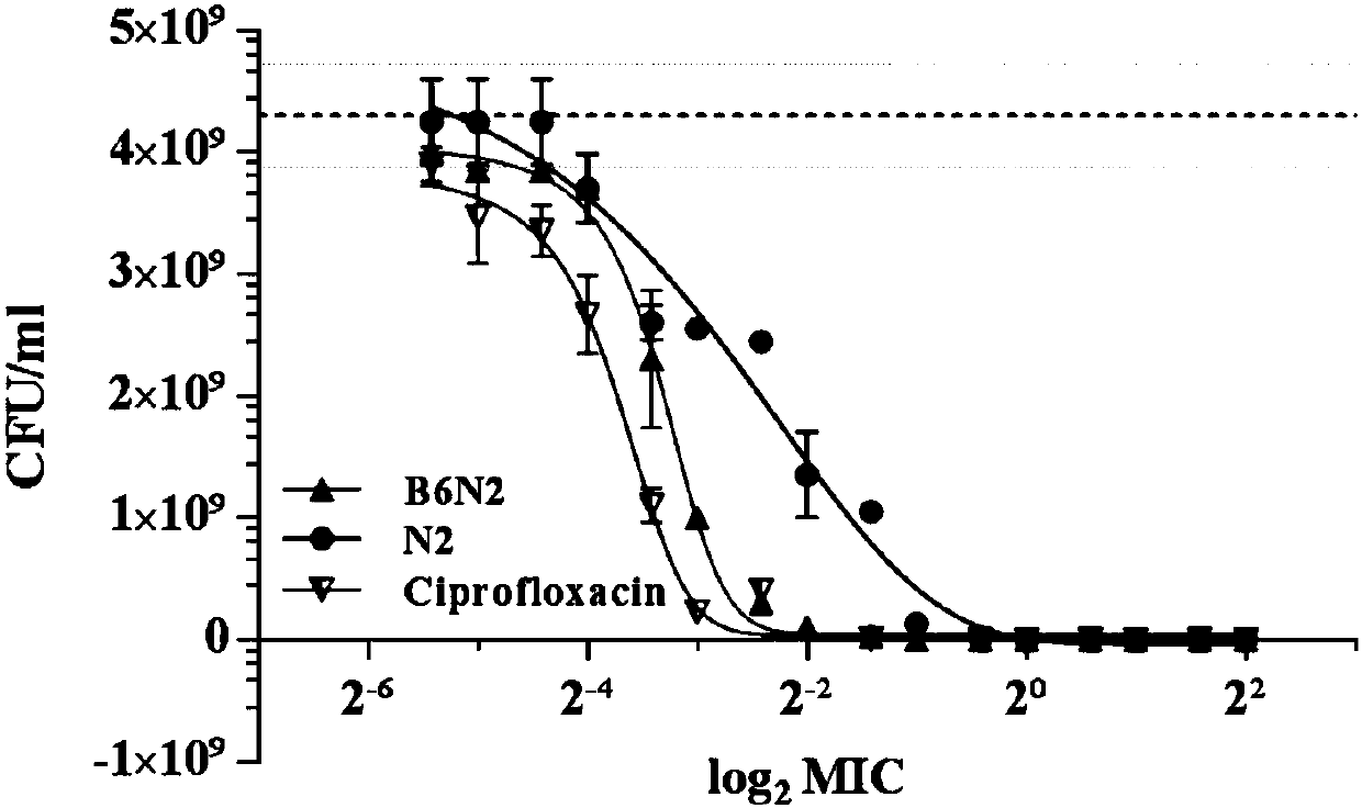 Chimeric cell-penetrating antibacterial peptide B6N2 and application thereof