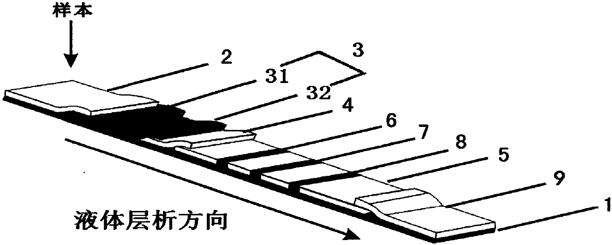 NTx (Naltrexone) detection test paper, kit and preparation method thereof