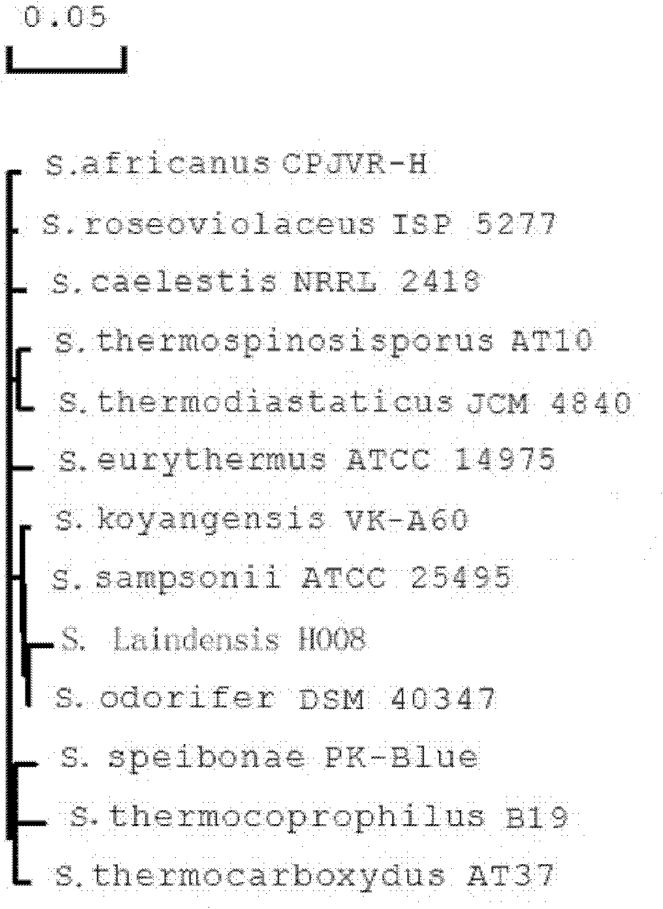 Strain having high-efficiency insecticidal function