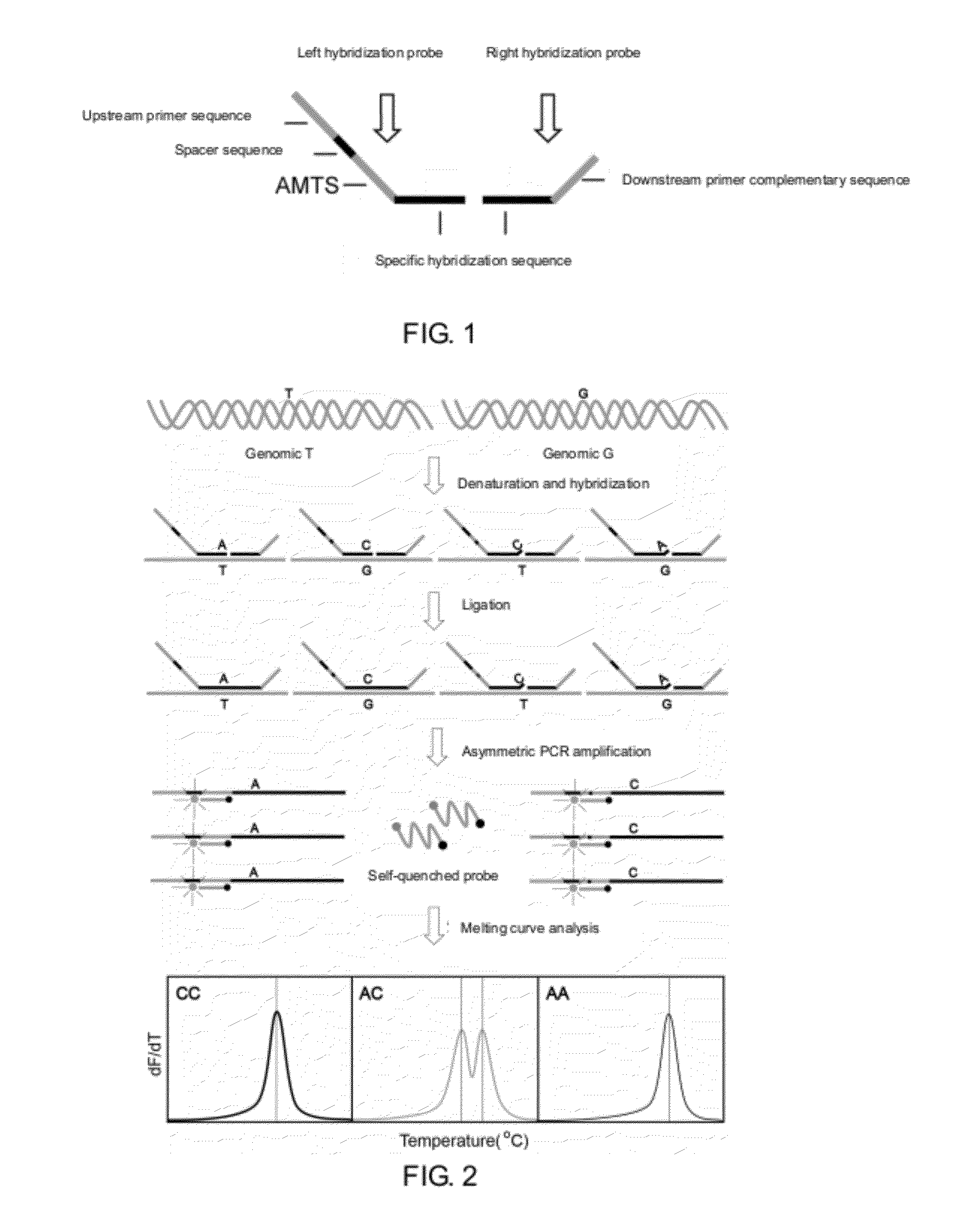 Method for the Detection of Multiple Single Nucleotide Variations or Single Nucleotide Polymorphisms in a Single Tube