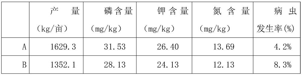 Organic tea garden interplanting method