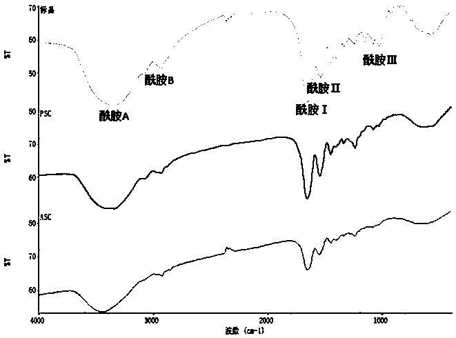 Collagen peptide with light aging relieving effect and preparation method thereof