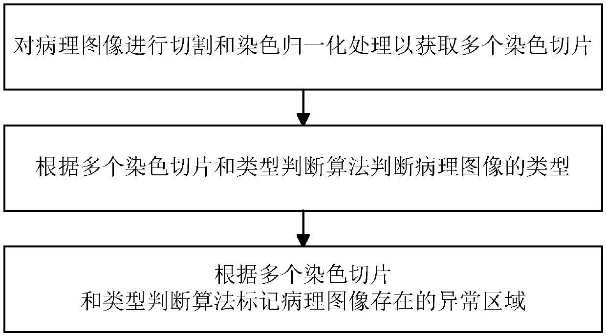 Pathological image processing method, system and apparatus, and storage medium