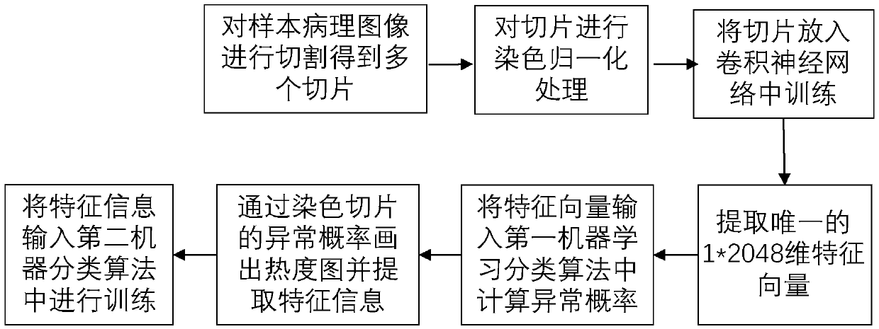 Pathological image processing method, system and apparatus, and storage medium