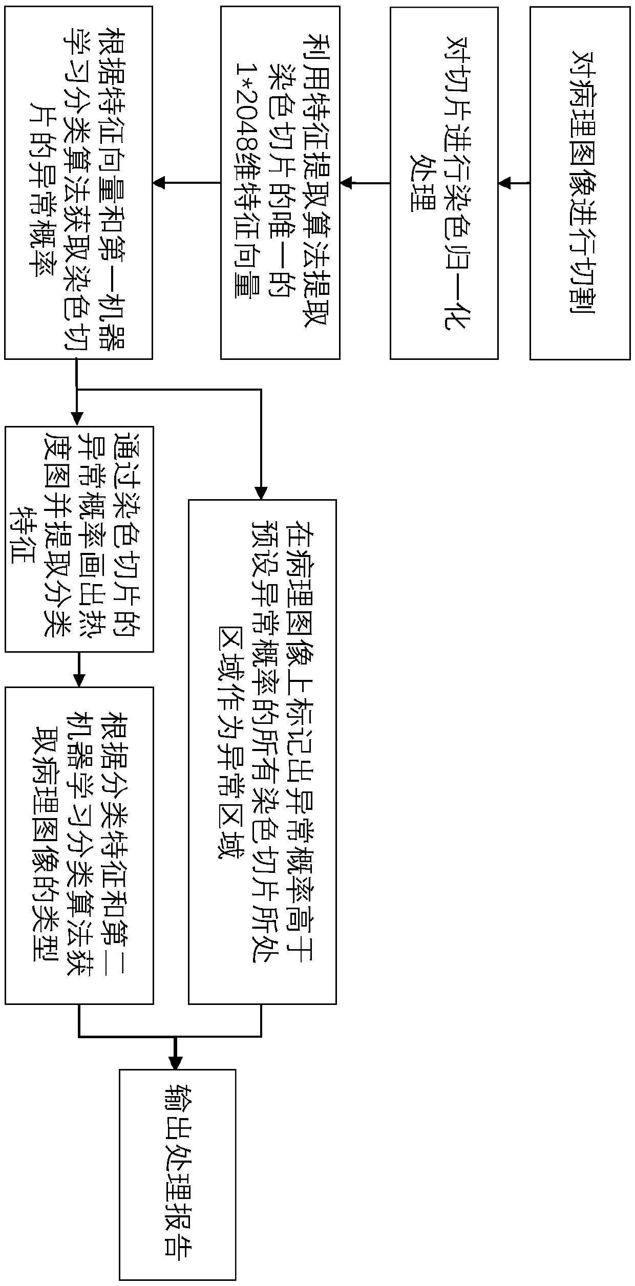 Pathological image processing method, system and apparatus, and storage medium