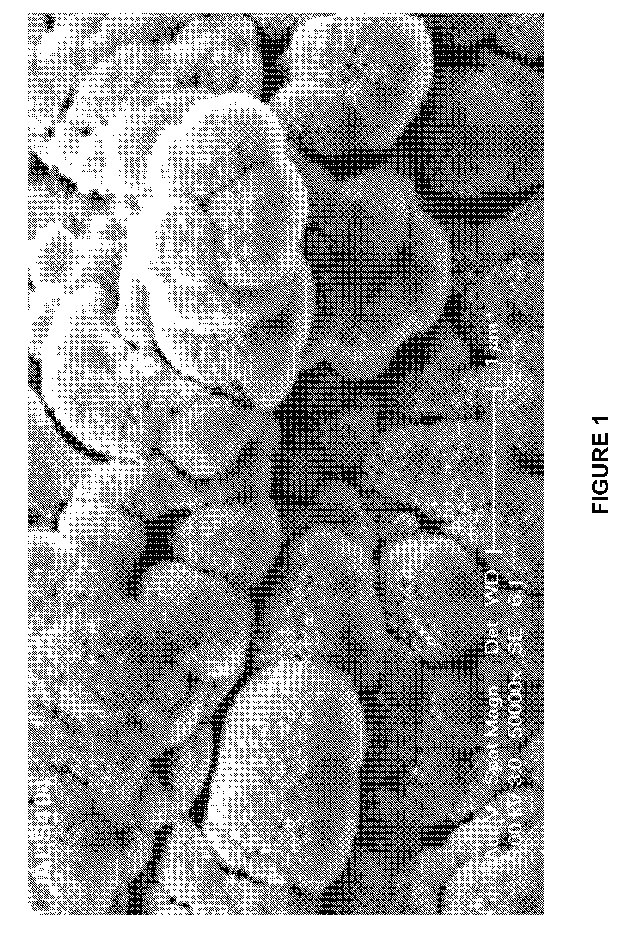 Structured Surfactant Suspending Systems