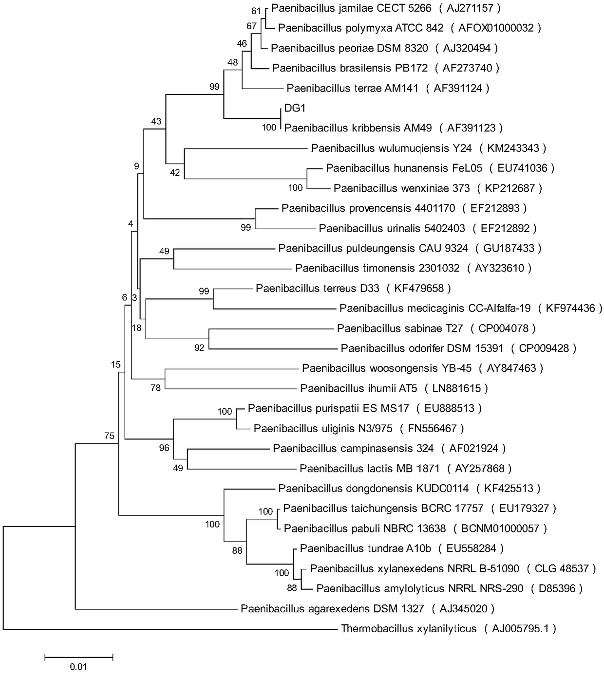 Strain with antagonistic action on cabbage sclerotinia sclerotiorum as well as culture method and application of strain