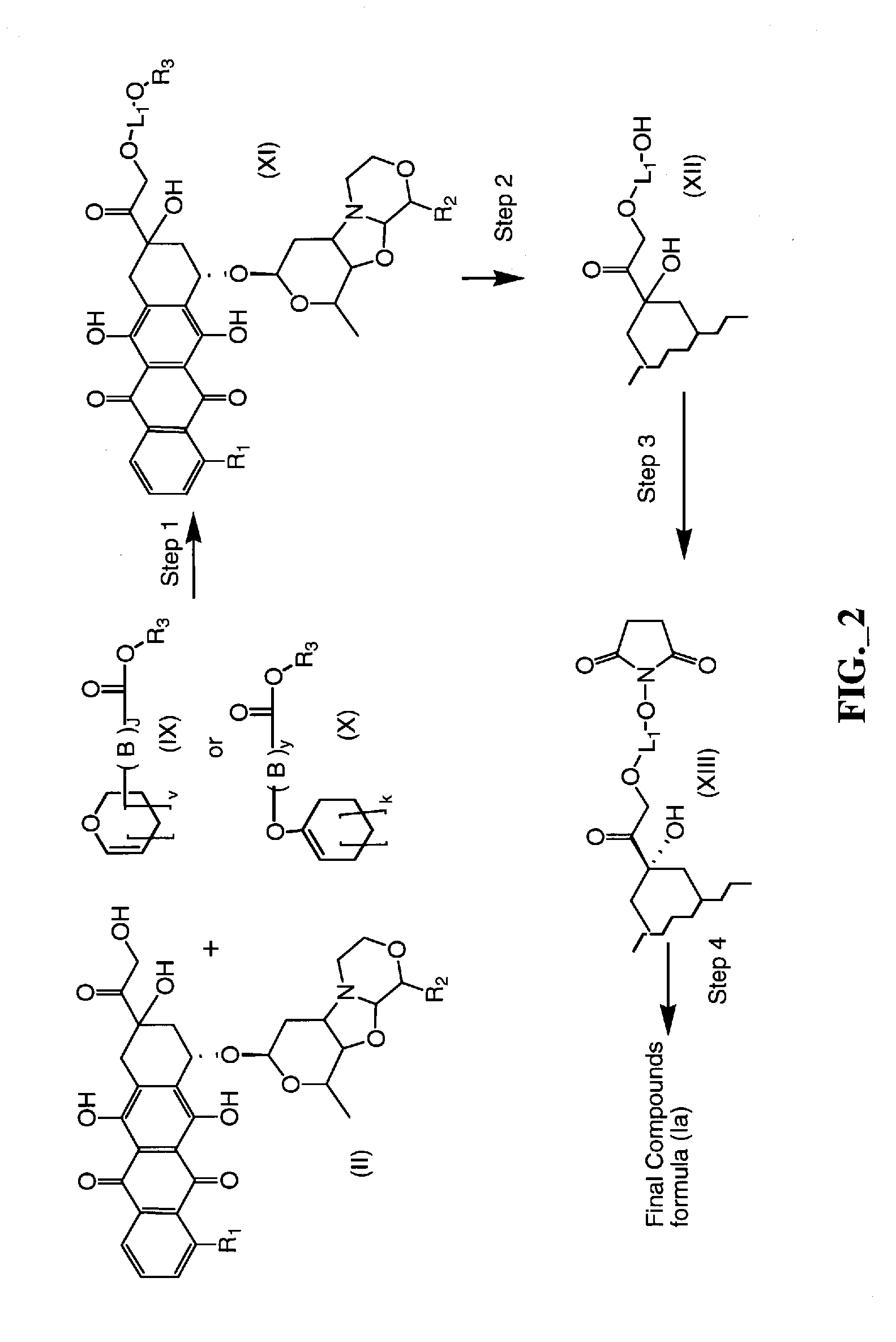 Anthracycline derivative conjugates, process for their preparation and their use as antitumor compounds