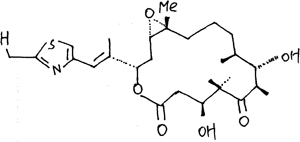 Anti-tumor epothilone oral liquid