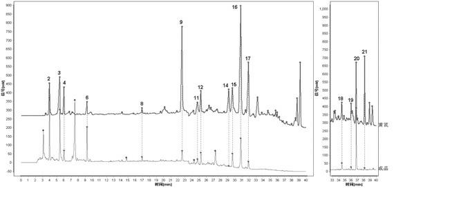 Construction method for HPLC (high performance liquid chromatography) finger-print chromatogram of ginseng and astragalus strengthening injection and application of finger-print