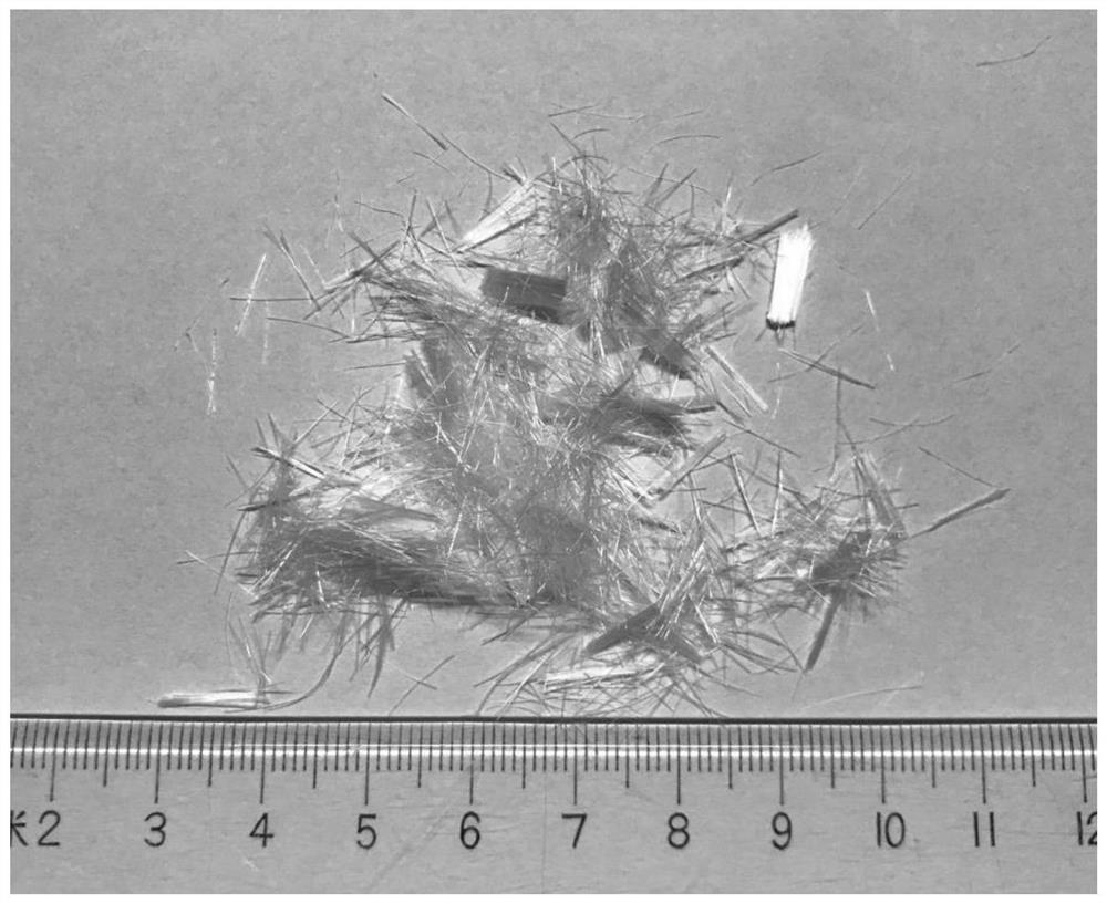 Calcareous sand reinforced cement-based material and preparation method thereof