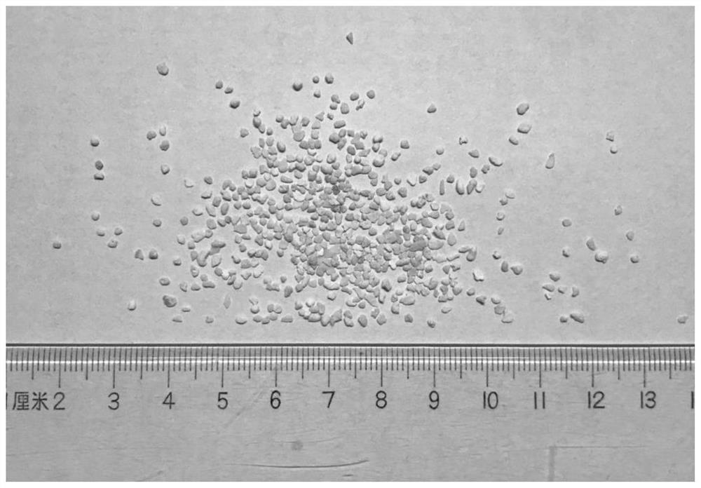 Calcareous sand reinforced cement-based material and preparation method thereof