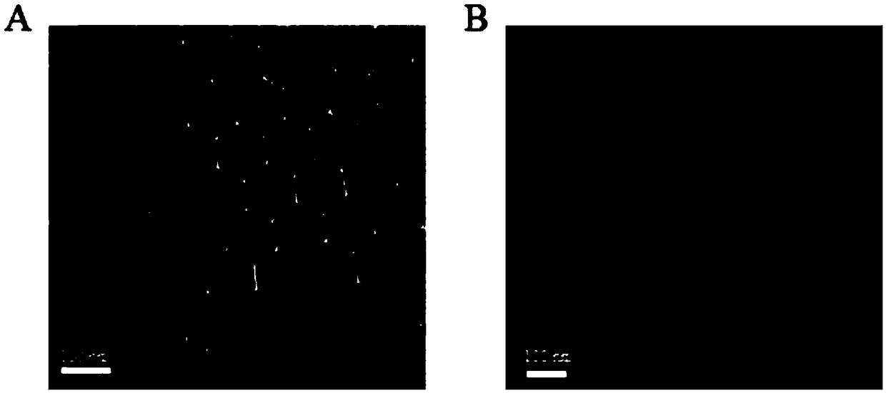 Non-invasive near-infrared optically-controlled nano-material for repairing damaged nerves