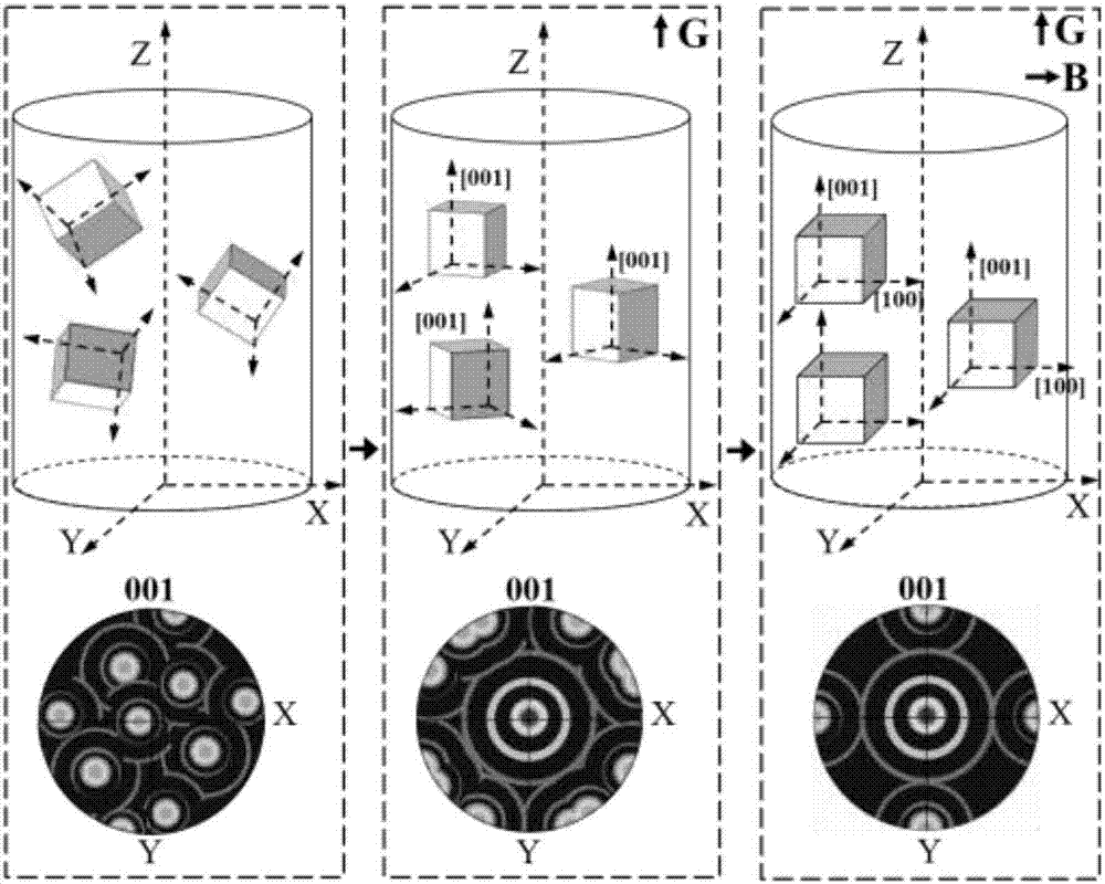 Method for preparing strongly-textured polycrystalline magnetic control shape memory materials through magnetic field assisted directional solidification