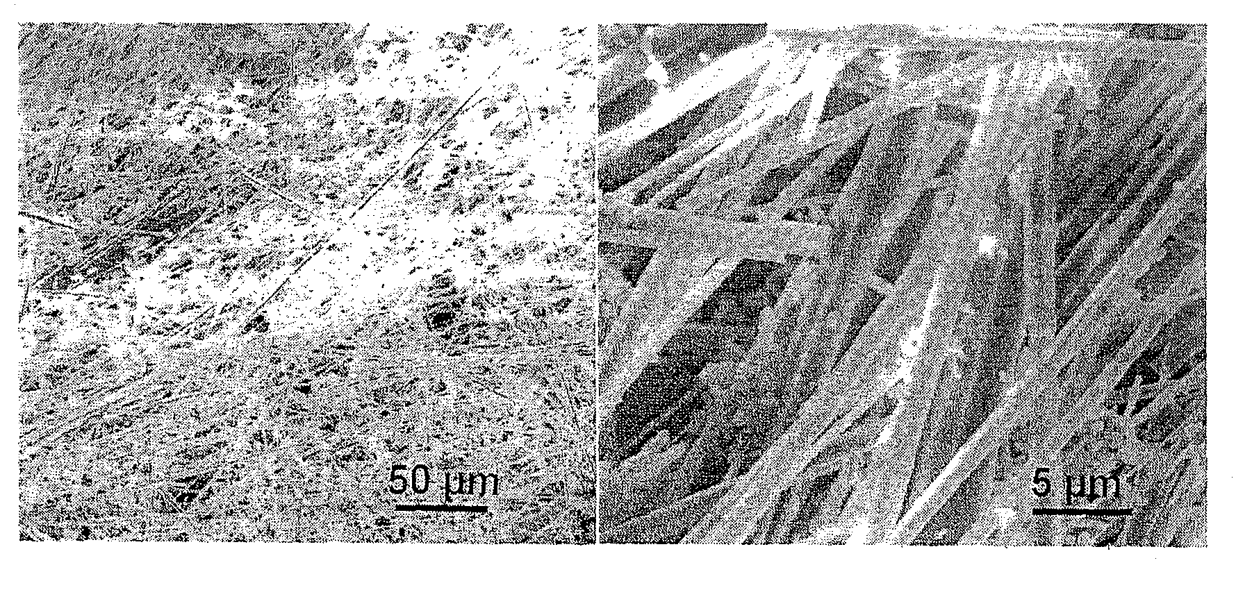 Method for preparing monoclinic lead tungstate nano belt crystal material