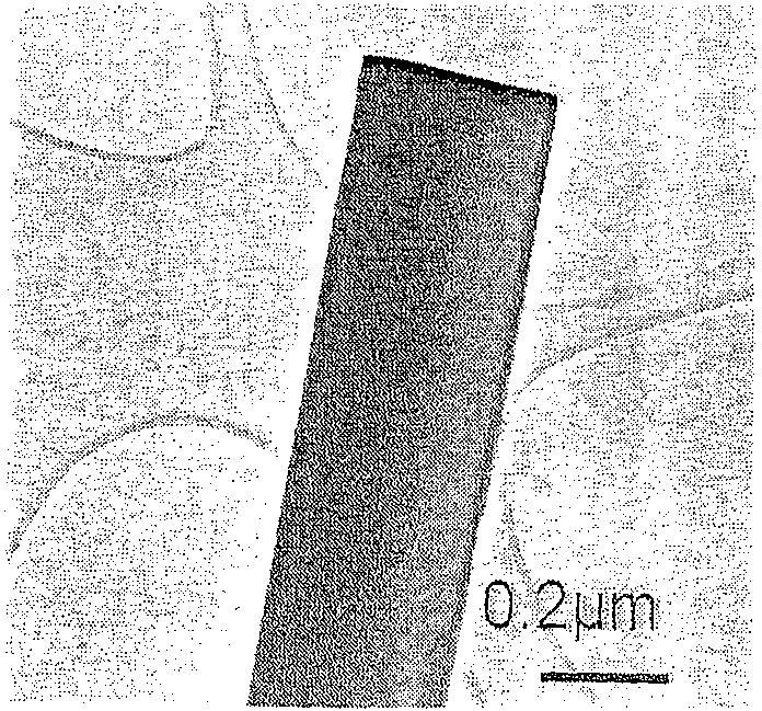 Method for preparing monoclinic lead tungstate nano belt crystal material