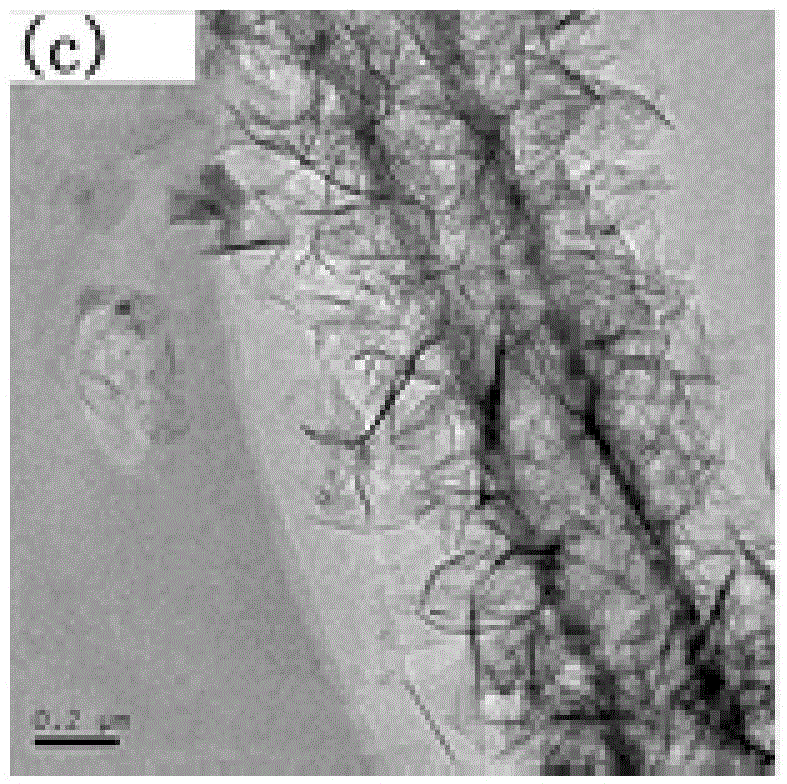 Electrode material of C@MnO2 nanotube super capacitor and preparation method and application of electrode material