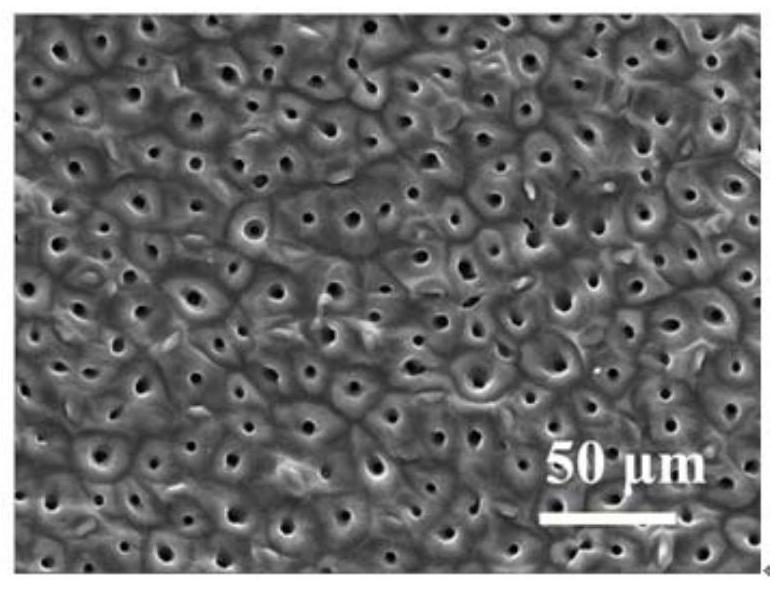 A piezoelectric-triboelectric hybrid self-driven electronic skin and its preparation method