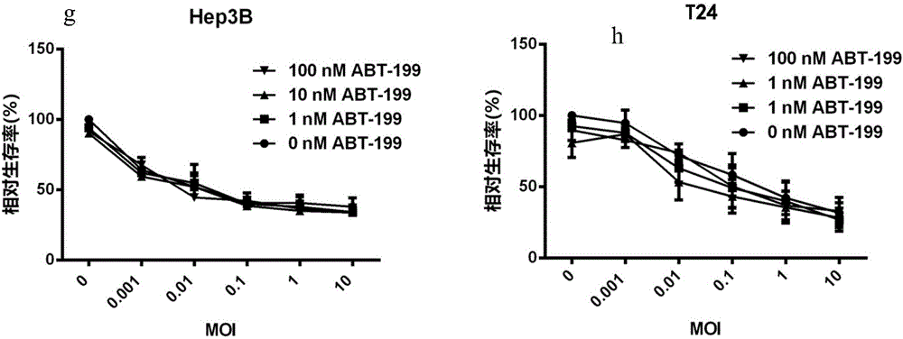 Application of Bcl-xL inhibitor and oncolytic virus to preparation of anti-tumor medicines