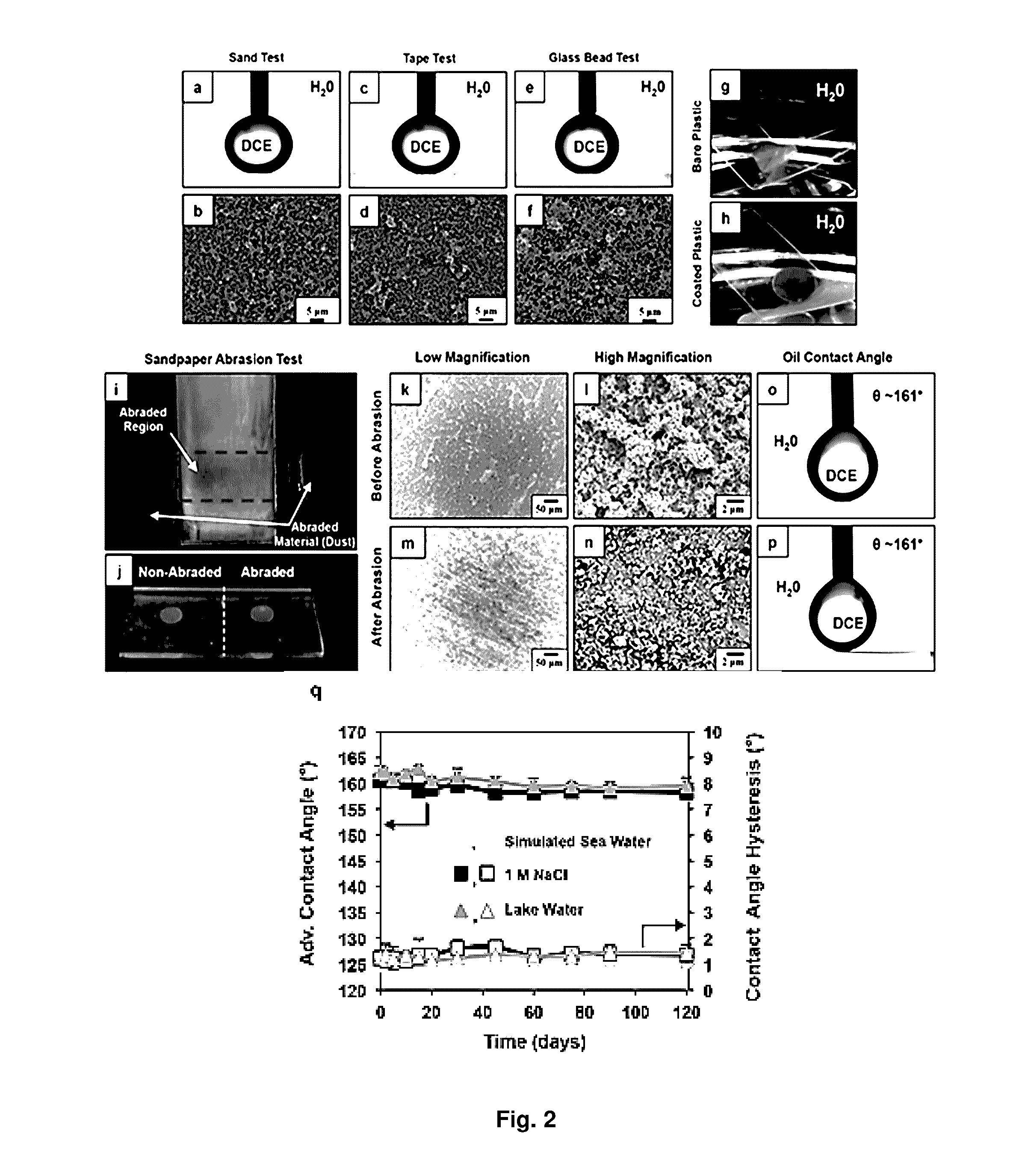 Synthetic Surfaces with Robust and Tunable Underwater Superoleophobicity